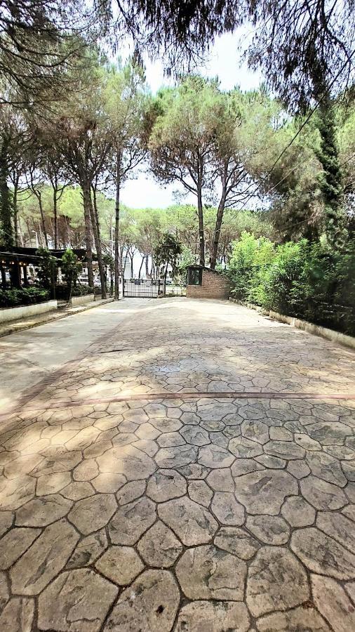 Holiday Apartment Golem (Tirana)